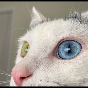 Meet your Posher, Sara